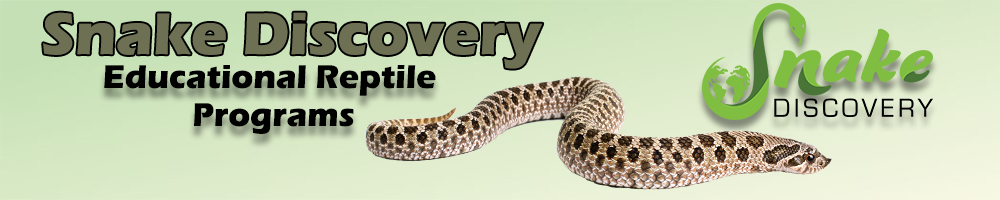 snake discovery
